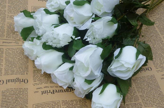 白玫瑰代表什么