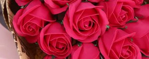 十八朵红玫瑰花代表什么意思