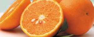 广西柑橘品种有哪些