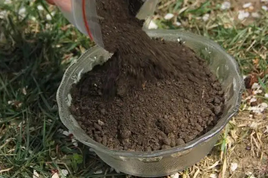 落葉直接埋土里能做肥料嗎