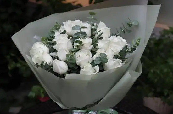 白玫瑰代表什么花语