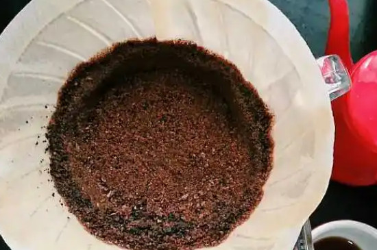 咖啡渣发酵到什么程度才可以