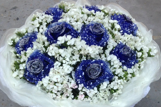 蓝色妖姬和蓝玫瑰的区别