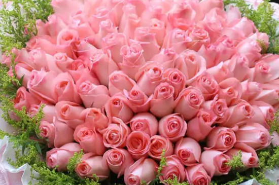 粉玫瑰加满天星的花语