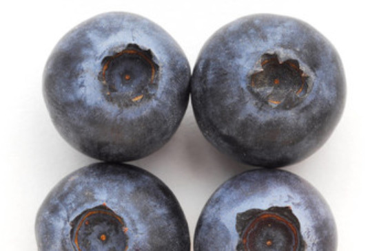 75个蓝莓品种介绍