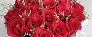22支红玫瑰花代表的意思