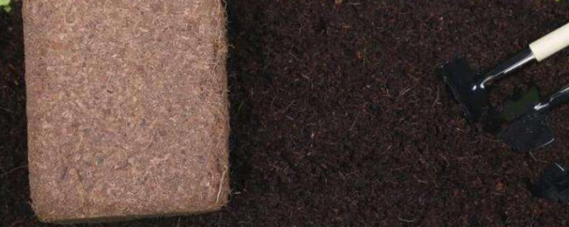 椰砖土是酸性还是碱性