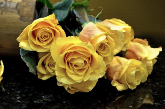 黄玫瑰花的花语
