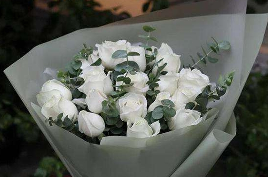 白玫瑰的花语