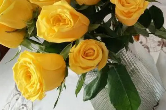 黄玫瑰代表什么