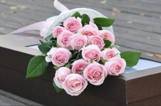 粉色玫瑰花语是什么?