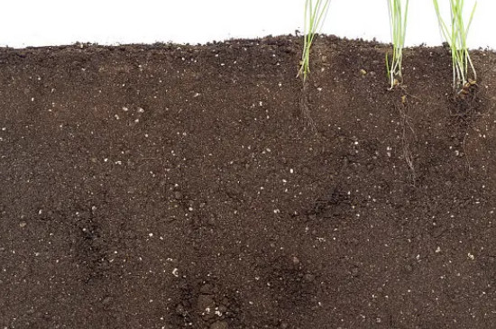哪些植物不能用土壤活化剂