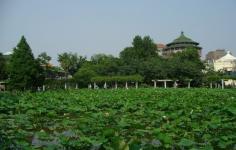 山东济南植物园
