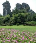 桂林植物园