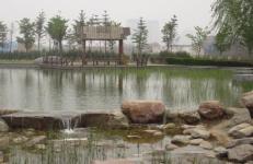 河南郑州植物园