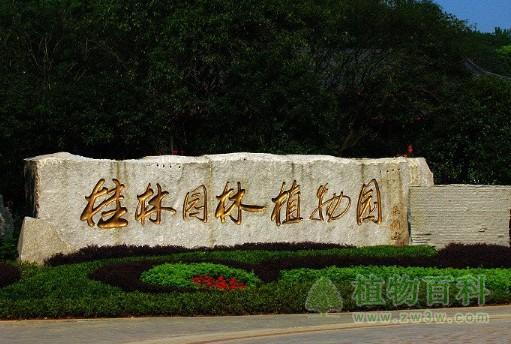 广西桂林园林植物园