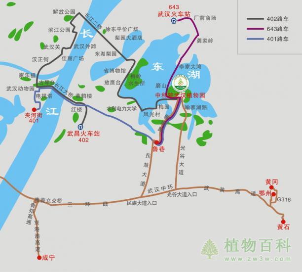 武汉植物园交通图