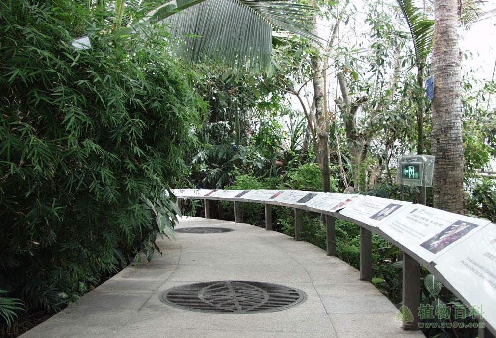 北京植物园展览温室内景