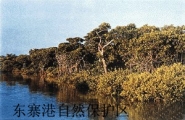 中国重要湿地