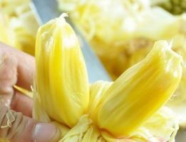 菠萝蜜怎么吃：熟与未熟的吃法介绍