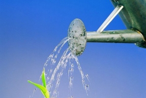 怎样给盆花浇水：品种不同,阶段不同,方法不同