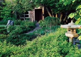 庭院绿化植物的布置形式有哪几种