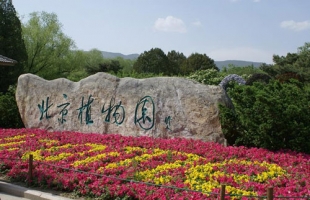 北京植物园好玩吗：观赏种类达5000多种