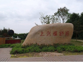 上海植物园地址：近百色路