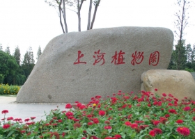 上海植物园好玩吗：海外人士评为最喜爱的郊游目的地