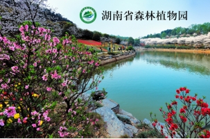 湖南省森林植物园门票：价格非常大众化