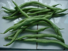 四季豆的营养价值：常食可健脾胃增食欲