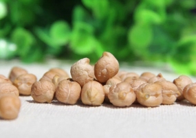 鹰嘴豆的功效与作用：润肺,消炎,养颜