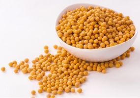 大豆的营养价值：优质蛋白质及多种维生素