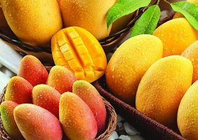芒果的功效与作用：皮肤过敏|胃寒|咳嗽,不宜吃