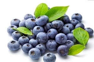 蓝莓什么时候种植：种植时节是秋天
