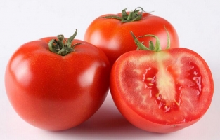 番茄什么时候播种：可春播也可秋播