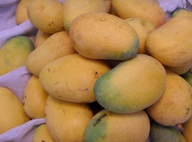 吃芒果过敏怎么办？每天吃芒果最好不要超过200克