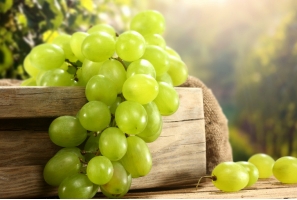 葡萄的营养价值：葡萄中的糖易被人体直接吸收