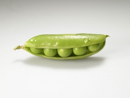 豌豆怎么做好吃： 吃法多样风味各异