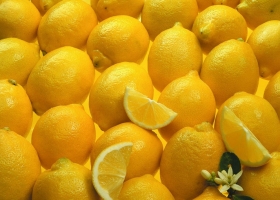 柠檬的价格：黄柠零售价在5-6元/斤,青柠稍贵点在7元/斤左右