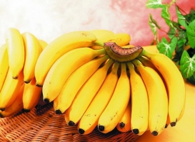 香蕉价格：南方售价2.5～3.5元/斤；北方稍贵售价4～6元/斤