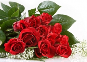 一束玫瑰花多少钱：一束11朵的玫瑰花价格在80~120元左右