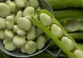 新鲜蚕豆的做法：简单易学的蚕豆做法展示
