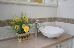 卫生间摆放什么花好：卫生间摆放花卉最佳选择是观叶植物