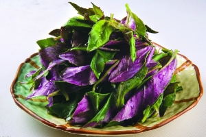 紫背天葵的做法：简单易学的紫背天葵做法展示