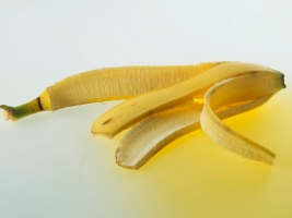 香蕉皮做花肥靠谱吗：靠谱，但香蕉皮需要沤肥