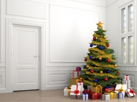 圣诞树是什么树：天然圣诞树一般用杉柏之类的常绿树做成