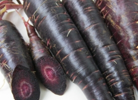 紫胡萝卜的种植技术：紫色萝卜对微量元素敏感，正确使用肥水