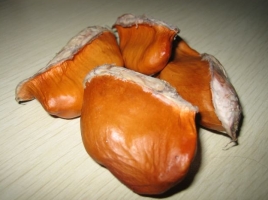 榴莲核能吃吗：榴莲的核可以直接剥皮吃，也可以煮来吃；有治疗皮肤病和补肾之功效