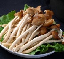 茶树菇的8大做法，营养又美味